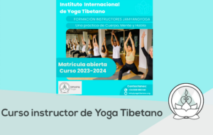 Formacion Yoga